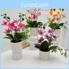 Artificial Butterfly Orchid Potted Plant For Indoor Decoration With Realistic Design For Bedroom And Lounge
