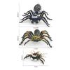 Intricately Plastic Designed Spider Models Including Dynamic Peacock And Striped Flies Available In Various Colors Ideal For Col