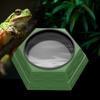 Maze design feeding bowl, water basin, increase the fun of hunting, multiple uses, suitable for reptiles, lizards, chameleons