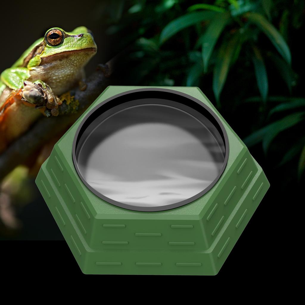 Maze design feeding bowl, water basin, increase the fun of hunting, multiple uses, suitable for reptiles, lizards, chameleons