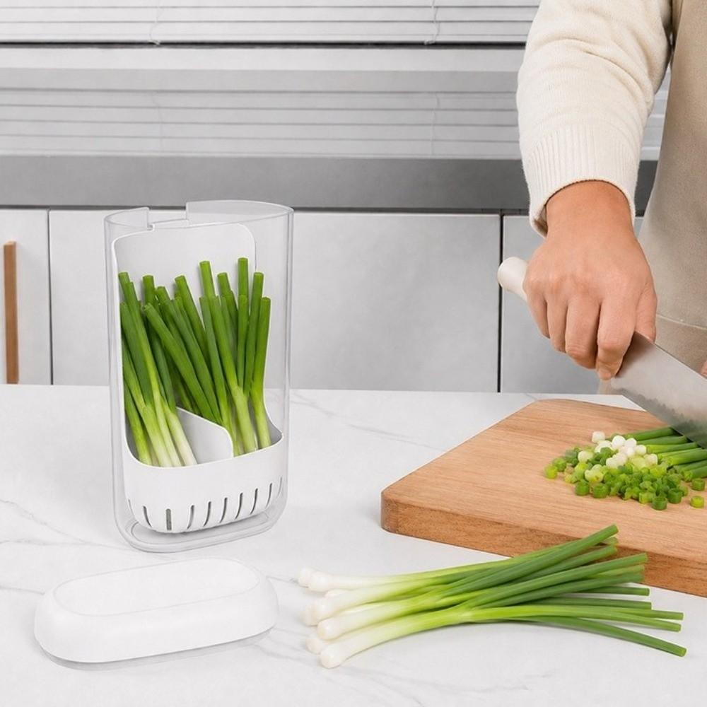 Clear Fresh Keeping Box Scallion Garlic Use Water Culture Container Fridge Storage Box Kitchen Use