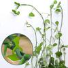 Fixed Bracket Wall Vines Fixture Plant Climbing Wall Clip Wall Rattan Clamp Plant Stent Support