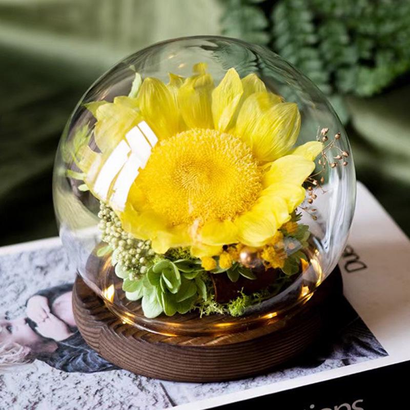 Věčná růže v prosklené kopuli - Perfektní dárek na Valentýna, výročí nebo narozeniny pro přítelkyni, kamarádku, přítele nebo manželku.