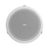 HiVi JS105 5-inch Commercial Ceiling Speaker CN Plug (adapter Included)