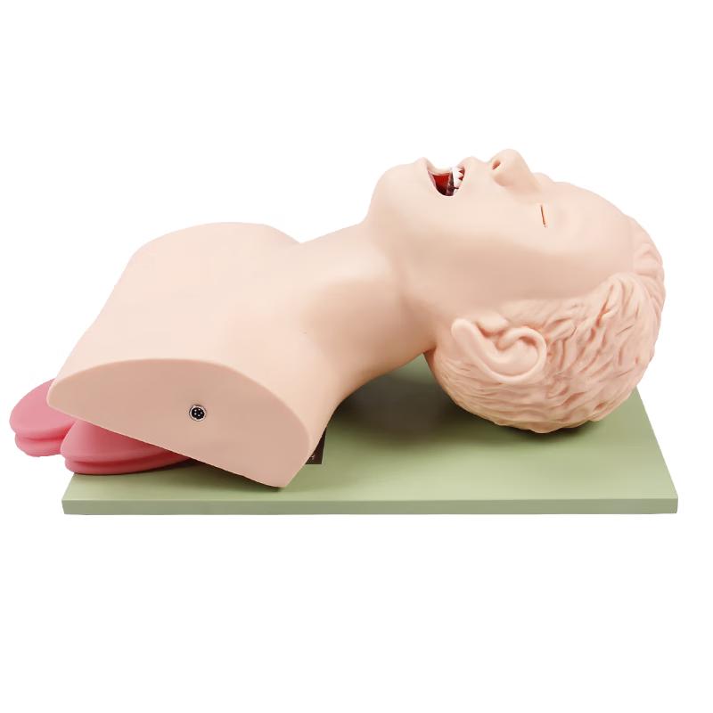 Yilan Adult Tracheal Intubation Training Manikin