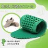 SAGUARO Wide Water Shoes, Amphibious, Aqua Shoes, Snorkeling, Beach Shoes, Shell Digging, River Play, Size 25.5cm