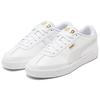 Puma Oslo-City Casual Low-Top Sneakers Unisex Sneakers White Gray 374976-01
