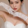 Solid Color Lace Short Gloves High Elasticity Bridal Gloves Elegant Sun Protection Gloves  Outdoor