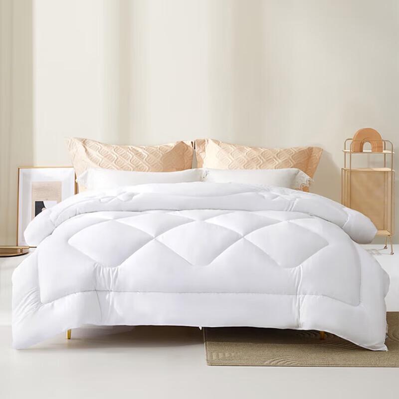 

Mercury Home Textiles Winter Thickened Fiber Comforter