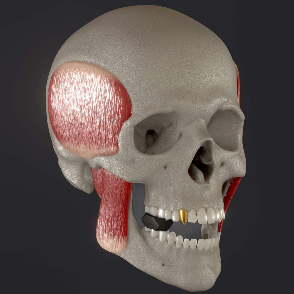 2PCS Jaw Exerciser Workout Double Chin Reducer for Men and Women Jawline Strengthener Device