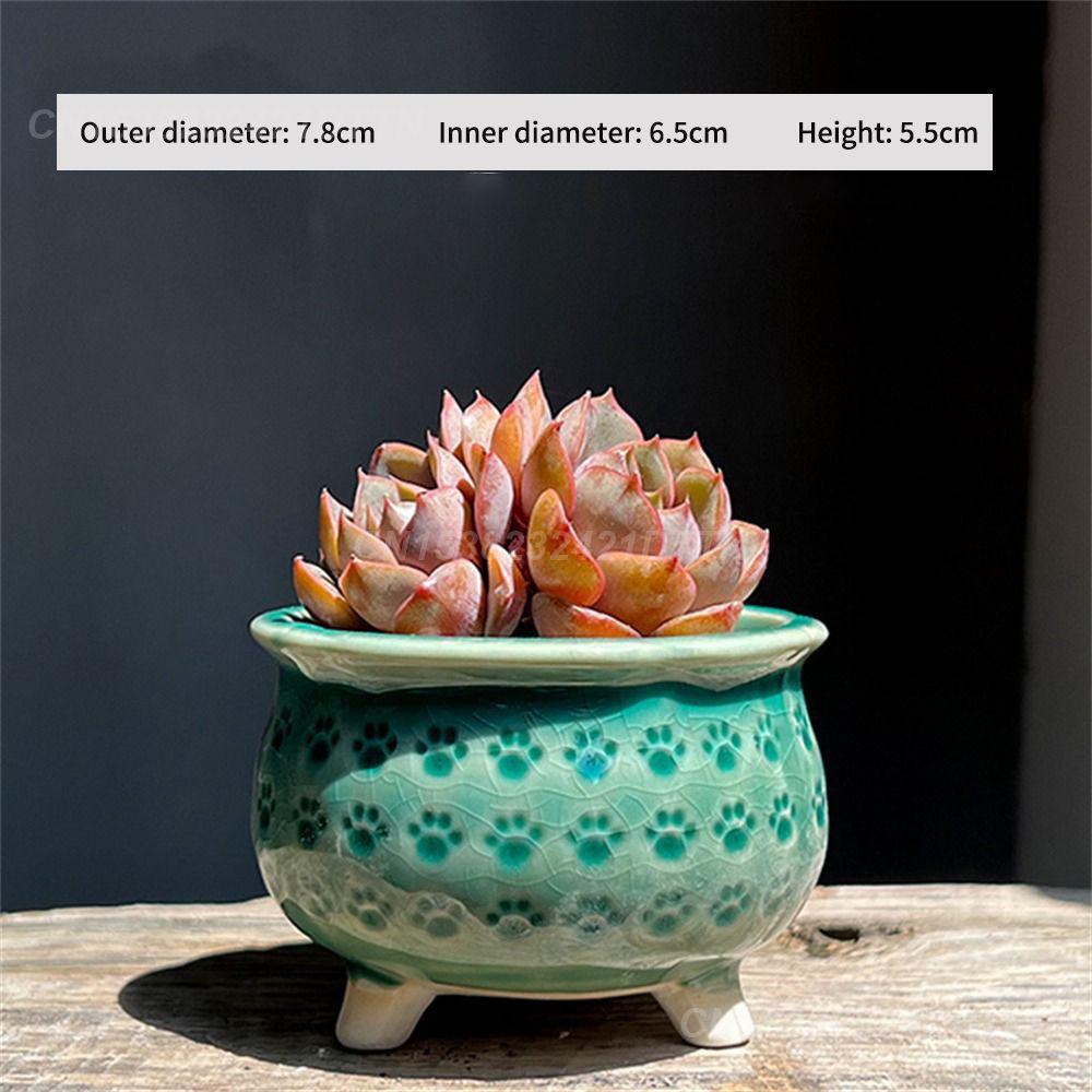 Blumentopf Katzenkralle Keramik Kreatives Modernes Design Fleischblumentopf Blumentopf Ablaufloch Fleischblumentopf Hohe Qualität Bonsai