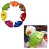Elizabethan Protective Neck Collar for Parrots & Budgies - Anti-Bite/Peck Scarf Cape