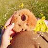 Guinea Pigs Pendant Plush Keychain Purse Bag Charm Stuffed Backpack Decoration
