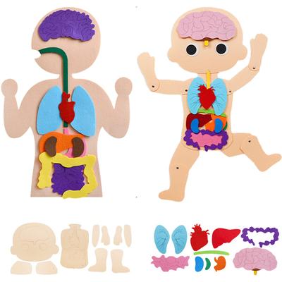 Torso del Corpo Umano Montessori Modello in Feltro Giocattoli Educativi Organi dei Bambini Vestizione Cognitiva Parrocchia Materiale per l'Apprendimento Aperto Gioco Puzzle