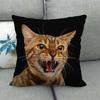 Uroczy zwierzęcy nadruk z kotem seria Sofa kreatywna poduszka prosta poduszka domowa impreza samochód