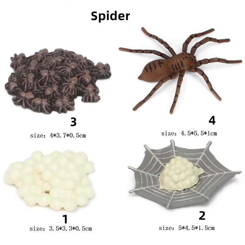 Funny Animal Life Cycle Board Children Toy Montessori Teaching Aids Plant Animal Growth Cycle Model Set preschool cognitive Toys