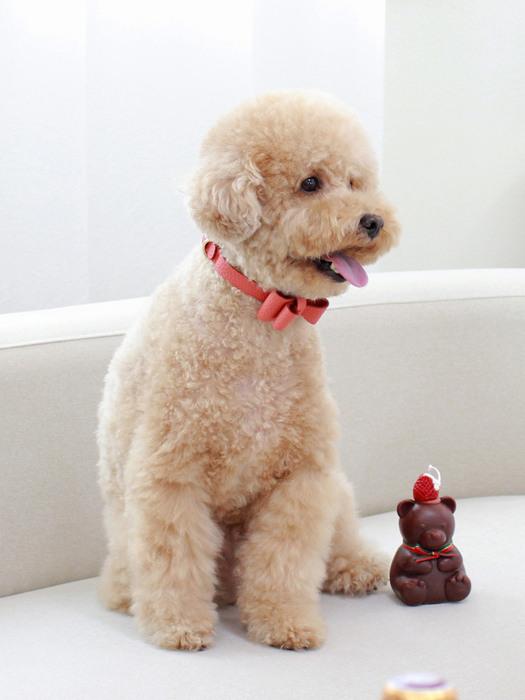 MAISON DE MIU Soft Ribbon Necklace Coral