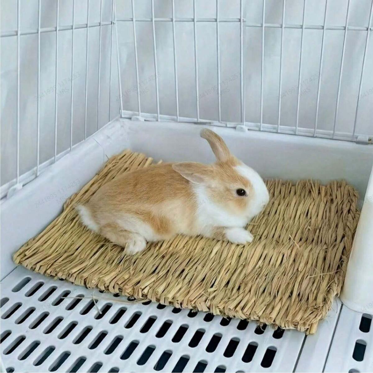 

1 pack of natural grass woven rabbit grass mats suitable for small animal cages - comfortable bedding suitable for rabbit hay de Quadrate светло-желтого
