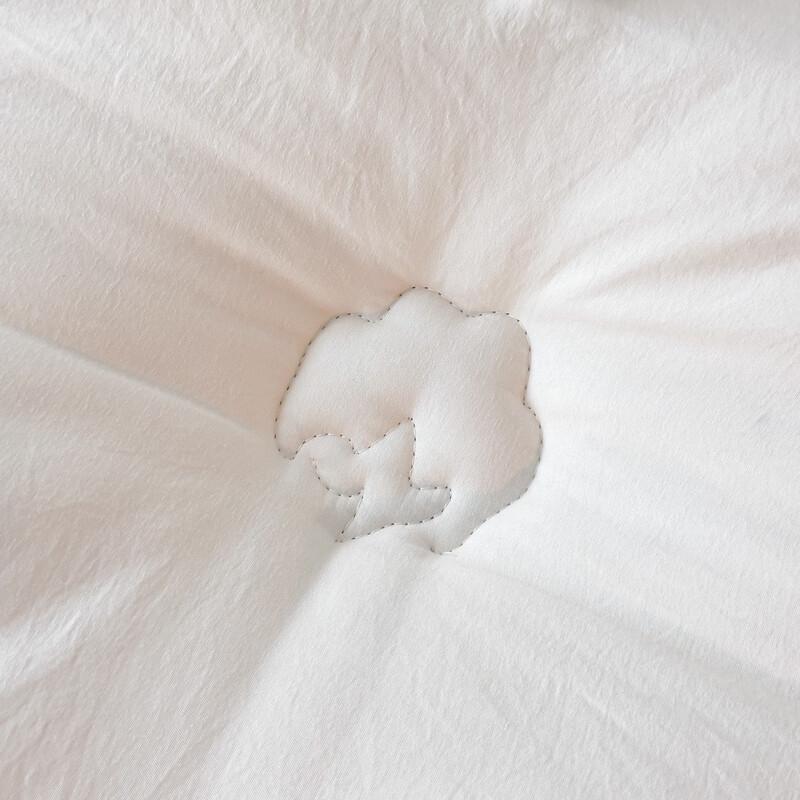 Pugu A-Class Xinjiang Cotton Quilt Core