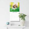 Red Robin 2026 Pekingese Monthly Wall Calendar | 12" x 24" Open | Premium Thick & Sturdy Paper | Hangable 12 Month Calendar | Lined Notes & To Do