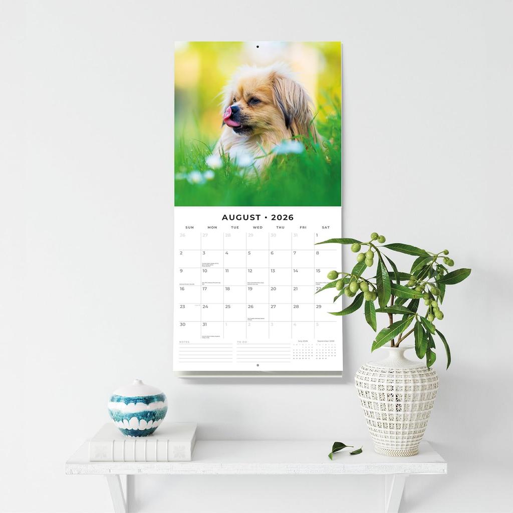 Red Robin 2026 Pekingese Monthly Wall Calendar | 12" x 24" Open | Premium Thick & Sturdy Paper | Hangable 12 Month Calendar | Lined Notes & To Do