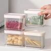 Draining Scallion Storage Box Sealed Refrigerator Fresh-Keeping Box Food Storage Box Ginger