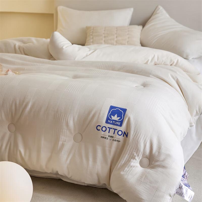 Grace Winter Warm Soybean Fiber Quilt