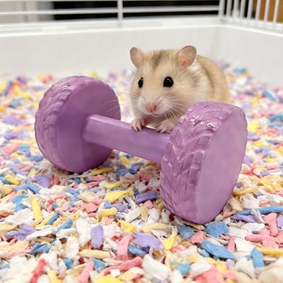 Yousheng Hamster Barbell Roller Toy Boredom Stress Relief Barbell Shape Interactive Chew Toy Chinchilla Gerbils Rats Mouse Exercise