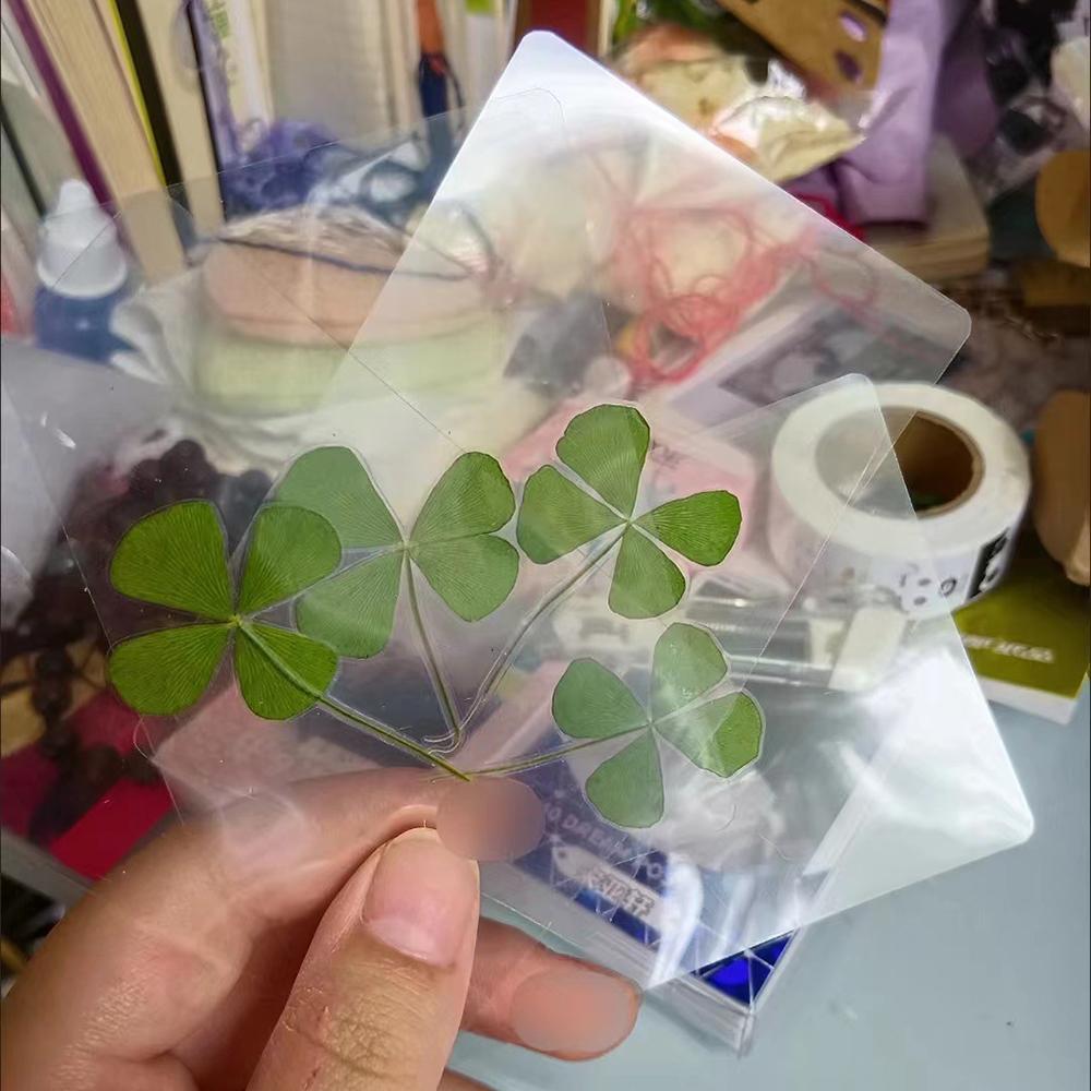 5PCS Lucky Four-Leaf Clover Natural Original Grass Transparent Card Bookmark Wishing Simple Style Transparent Card