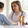 Model ludzkiego stawu kolanowego Model więzadeł stawu kolanowego Szkielet Mięśnie Anatomia Model Narzędzie do nauczania szkolnego na lekcję przyrody
