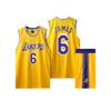 Los Angeles Lakers Ne. 6 LeBron James sada dresu pro dospělé a děti