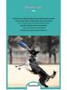 Frisbee Suave TPR Resistente a Mordiscos Meianju - Juguete Flotante Interactivo para Mascotas