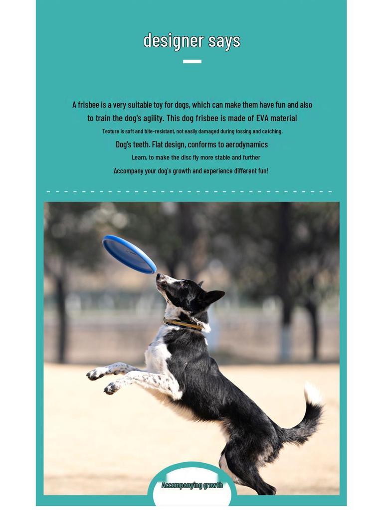 Frisbee Suave TPR Resistente a Mordiscos Meianju - Juguete Flotante Interactivo para Mascotas
