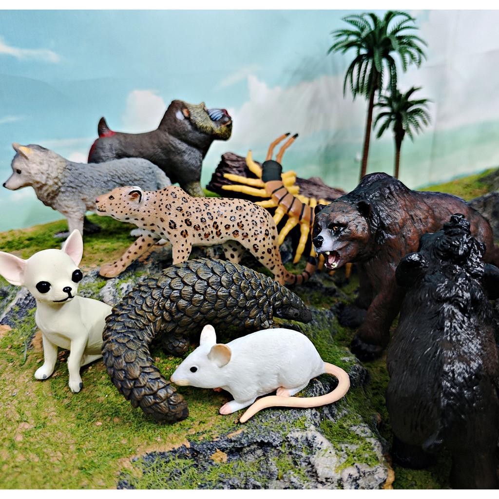 Leopards Pvc Wolves Figure Realistic Wildlife Models For Kids Learning Playtime