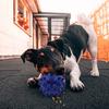 Rubber Dog Chew Ball with Squeaker Interactive Treat Dispensing Toy for Small Medium Breeds