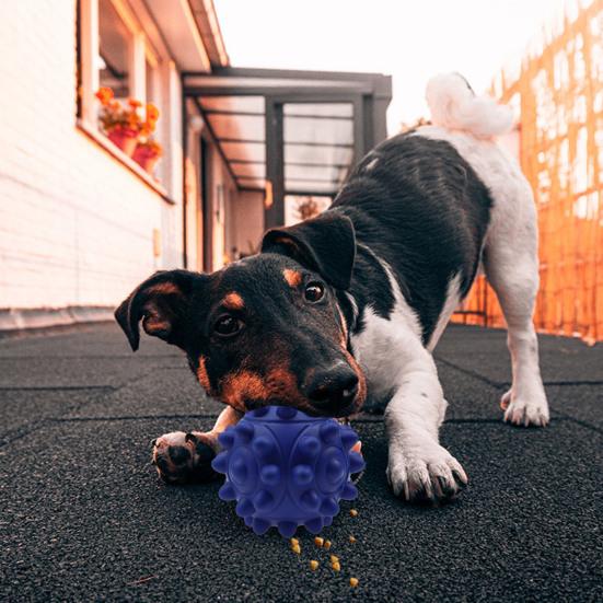 Rubber Dog Chew Ball with Squeaker Interactive Treat Dispensing Toy for Small Medium Breeds