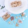 Shells Epoxy Resin for Aquatic Pet Resin Casting Fish Tank Decoration Aquarium Supplies Starfish