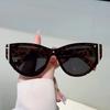 Vintage Cat Eye Sunglasses Women  New Fashion Outdoor Decor Shades Trendy Luxury Brand Designer Anti-UV Sun Glasses