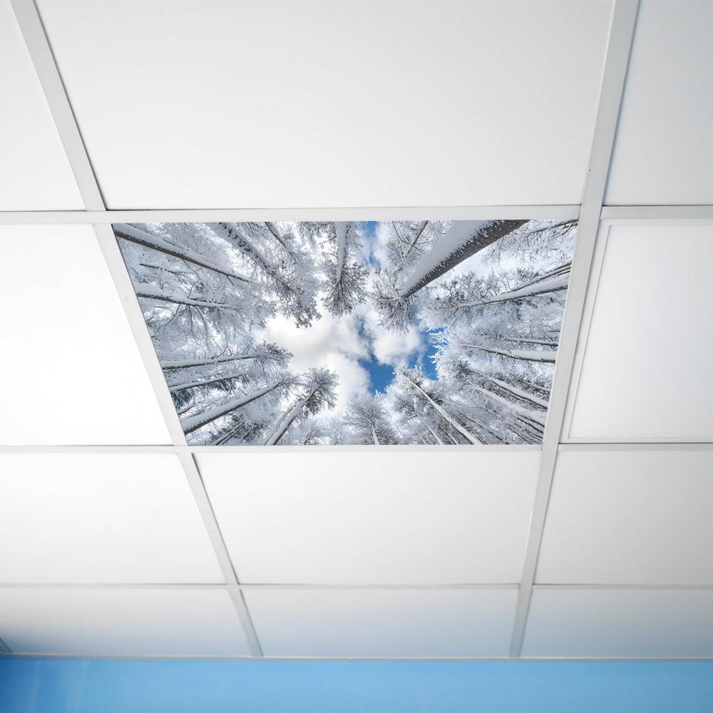 Winter Snow Forest Blue Sky White Clouds Ceiling Living Room Bedroom Beautification Wall Stickers