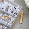 40/60 Stück Nagellackpinsel mit Doppelkopf-Stiftdose, Ersatzkopfpinsel, Nagelbürste, Flüssigkeitsapplikatoren, Maniküre-Werkzeuge