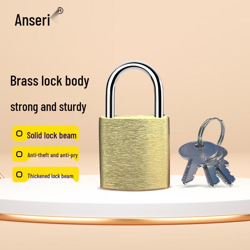 Assured 20mm Solid Brass Padlock