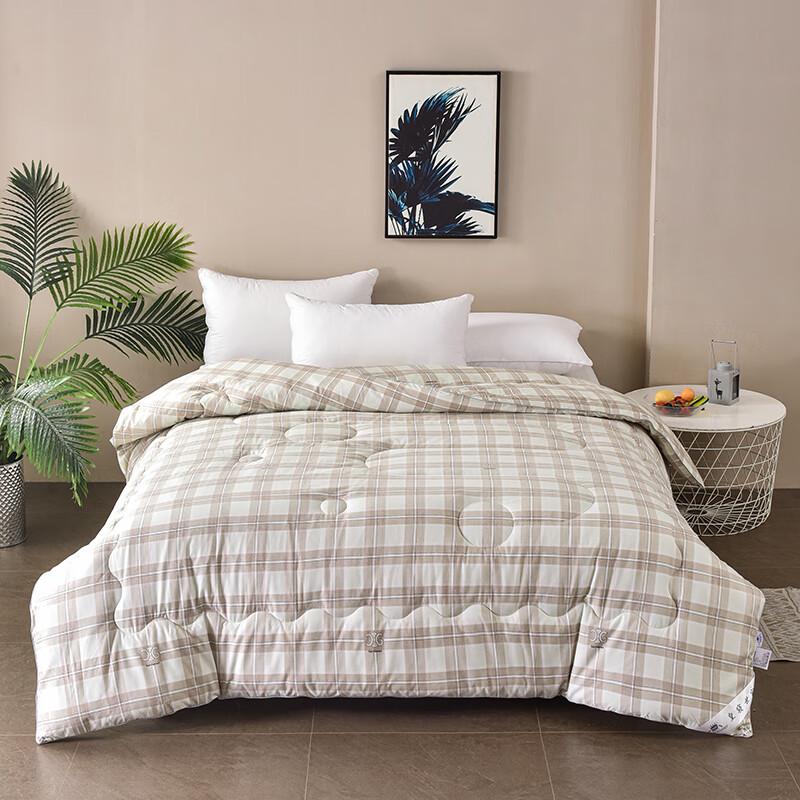 

Skin-Friendly Polyester Fiber Duvet Insert