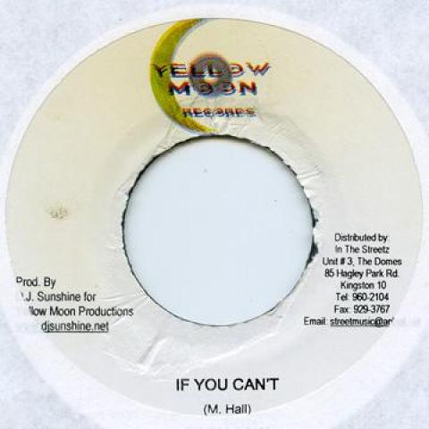 

7-дюймовая пластинка LADY SAW - If You Can t / Pum Pum Yellow Moon 2006 Ямайка Регги, Ска и Даб