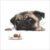 Funny 3D Dog Peeking Snail Wall Sticker Bathroom Living Room Decorations Art Decals Cute Animal Toilet Stickers for Home Decor