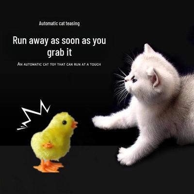 Schattig Opwindkip Speelgoed voor Katten en Honden - Spring- en Loopactie