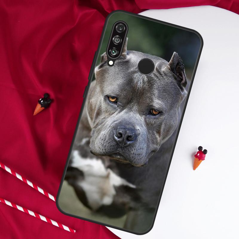 Pit Bull Pitbull Dog For Huawei Nova 5T 12s 12i 11i Y90 Y70 Y60 Y61 Y91 Y72 9 10 SE P20 P40 Lite P60 P30 Pro Case