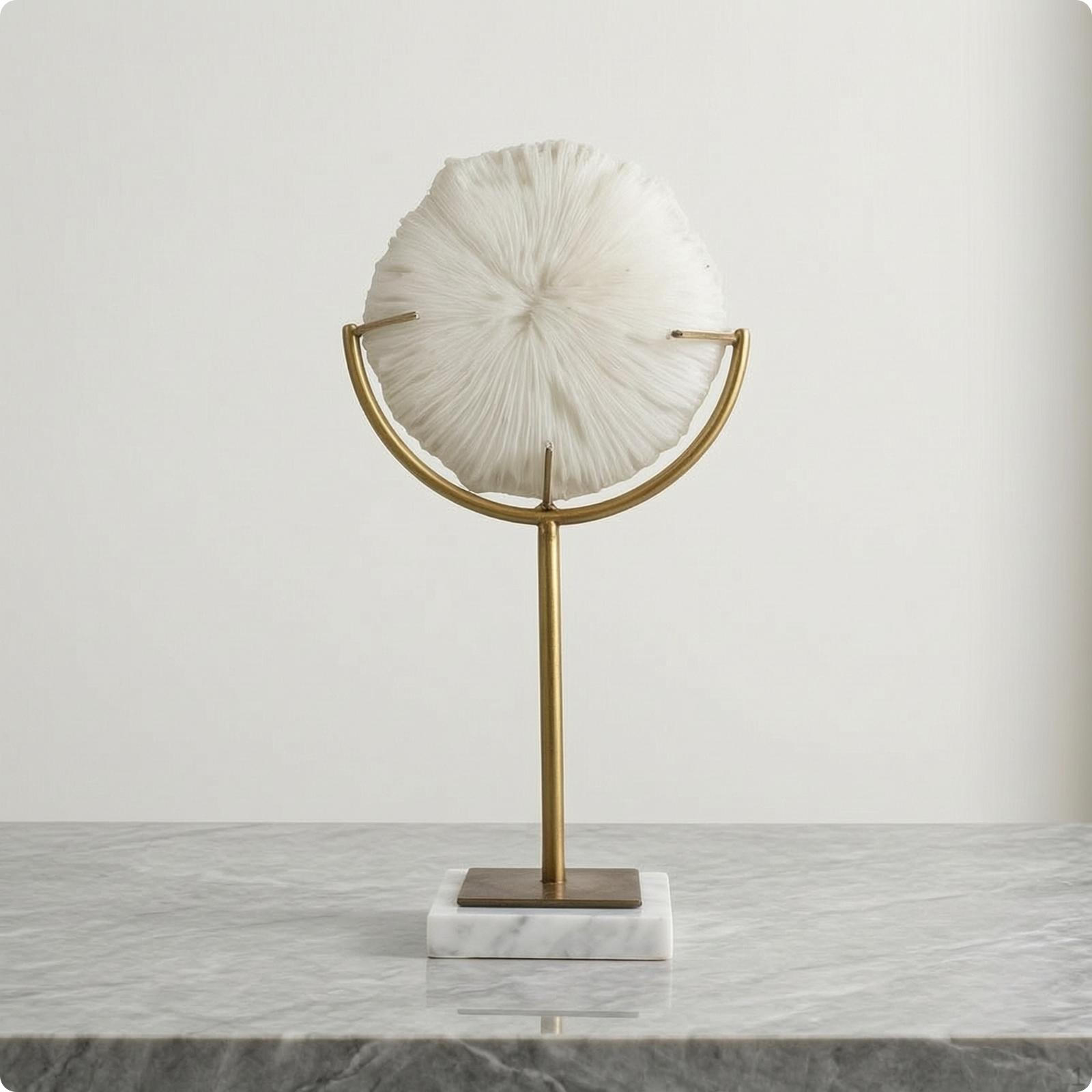 Coral Sculpture with Marble Base Coastal SeaThemed Tabletop Ornament for Living