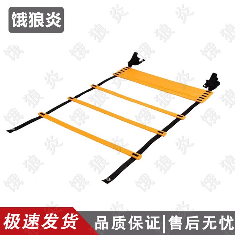 Sports Agility Training Ladder