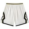 Men's Shorts Anta Basketball Collection Basketball Shorts Unisex