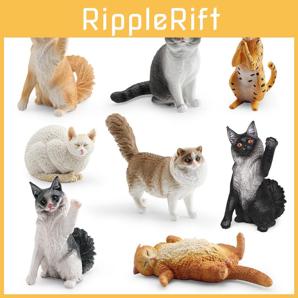 Maine Cat Ragdoll Coon Pvc Realistic Model Toys For Kids Learning And Decor Home